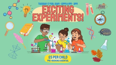 Exciting Experiments! | Melbourne Life Magazine